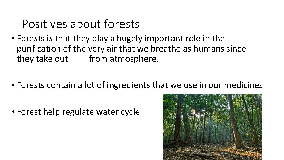 Positives about forests • Forests is that they play a hugely important role in