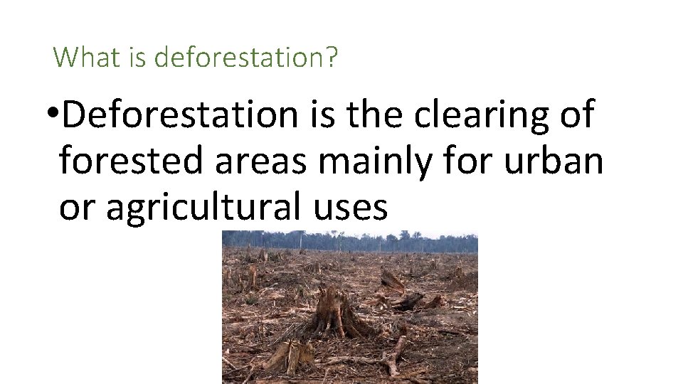 What is deforestation? • Deforestation is the clearing of forested areas mainly for urban