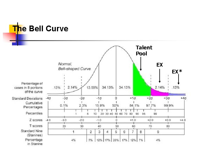 The Bell Curve Talent Pool EX EX* 