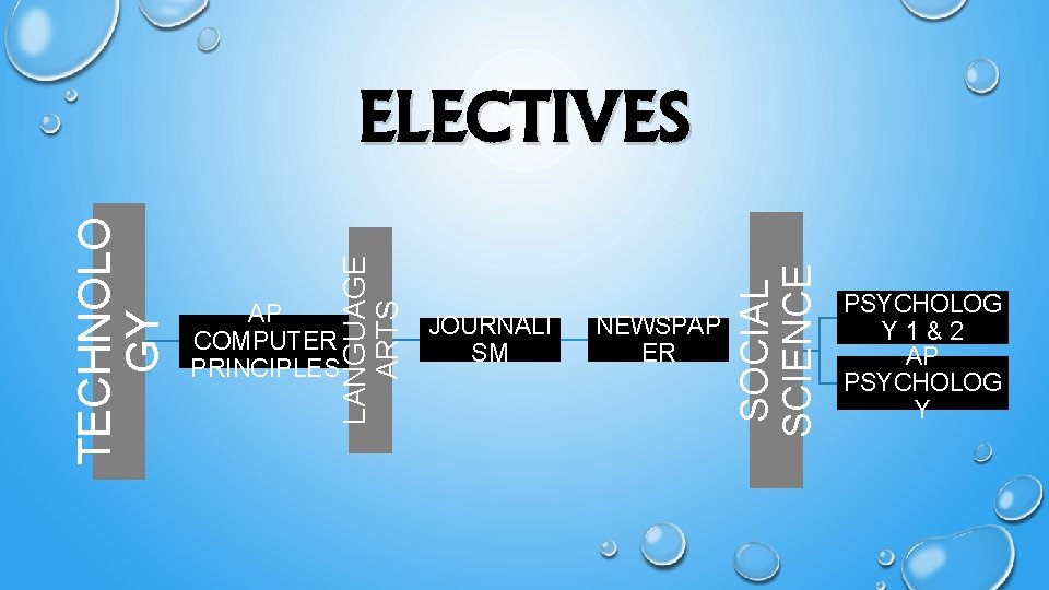 AP COMPUTER PRINCIPLES JOURNALI SM NEWSPAP ER SOCIAL SCIENCE LANGUAGE ARTS TECHNOLO GY ELECTIVES