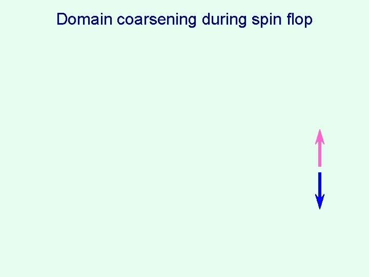 Domain coarsening during spin flop 