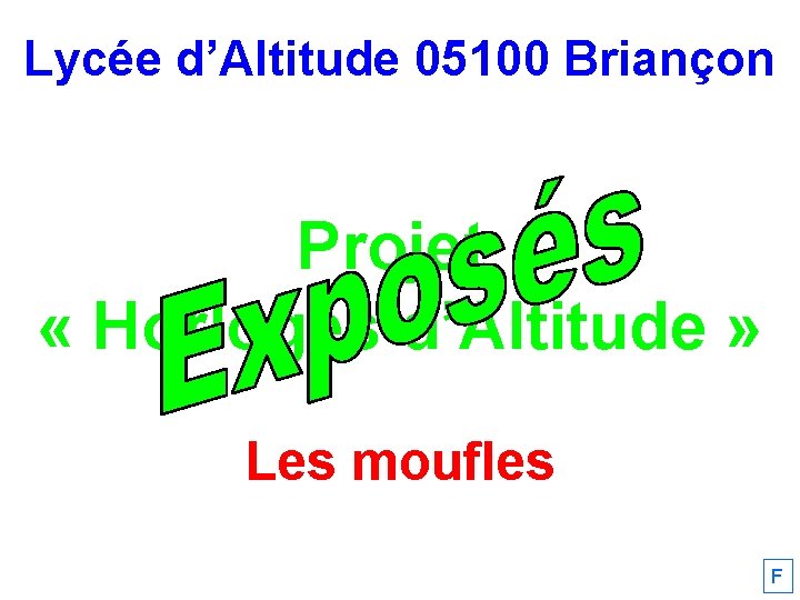 Lycée d’Altitude 05100 Briançon Projet « Horloges d’Altitude » Les moufles F 