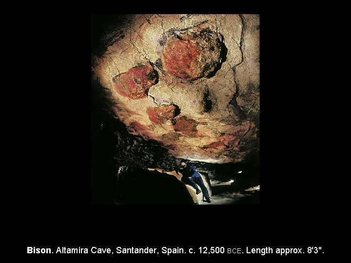 Bison. Altamira Cave, Santander, Spain. c. 12, 500 BCE. Length approx. 8'3". 