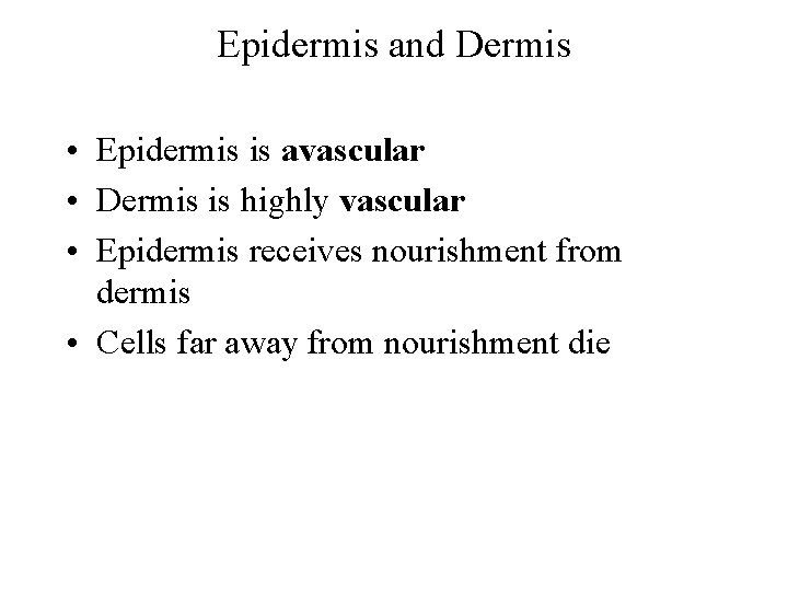 Epidermis and Dermis • Epidermis is avascular • Dermis is highly vascular • Epidermis