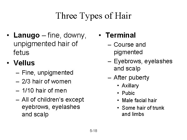 Three Types of Hair • Lanugo – fine, downy, unpigmented hair of fetus •