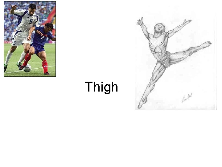 Thigh Thigh