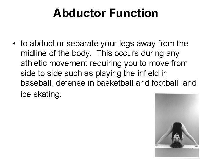 Abductor Function • to abduct or separate your legs away from the midline of Abductor Function • to abduct or separate your legs away from the midline of