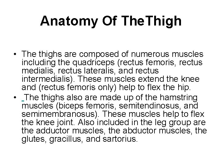 Anatomy Of The. Thigh • The thighs are composed of numerous muscles including the