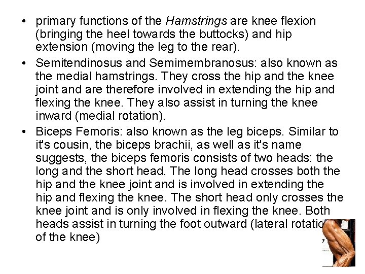  • primary functions of the Hamstrings are knee flexion (bringing the heel towards