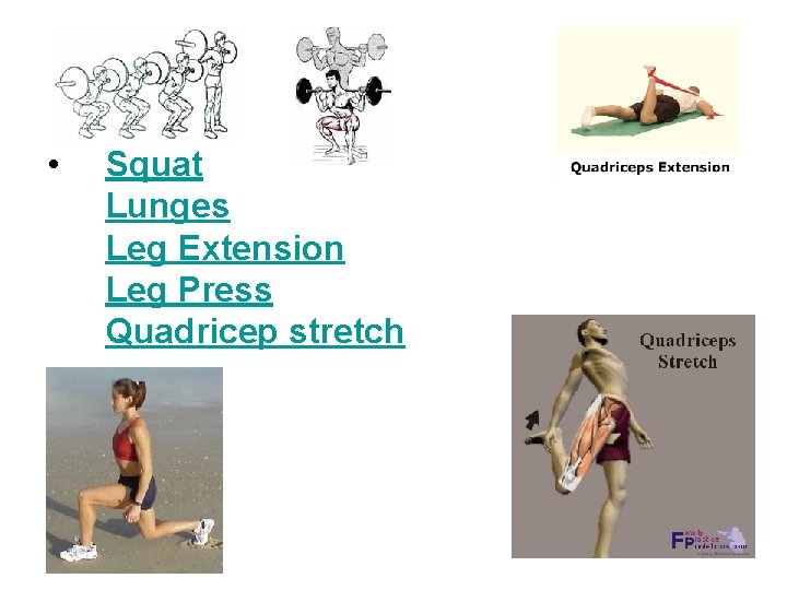 • Squat Lunges Leg Extension Leg Press Quadricep stretch • Squat Lunges Leg Extension Leg Press Quadricep stretch