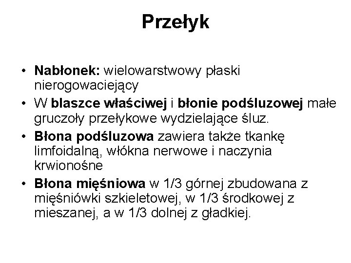 Przełyk • Nabłonek: wielowarstwowy płaski nierogowaciejący • W blaszce właściwej i błonie podśluzowej małe