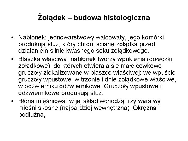 Żołądek – budowa histologiczna • Nabłonek: jednowarstwowy walcowaty, jego komórki produkują śluz, który chroni