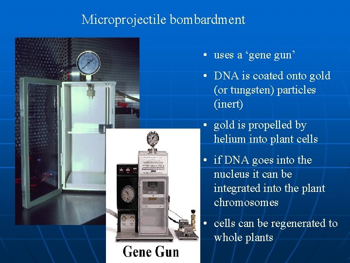 Microprojectile bombardment • uses a ‘gene gun’ • DNA is coated onto gold (or