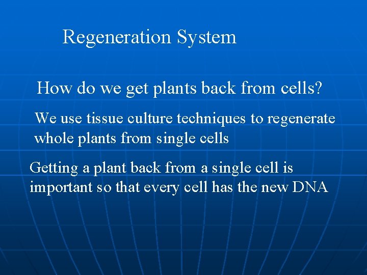 Regeneration System How do we get plants back from cells? We use tissue culture