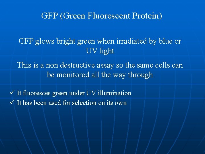 GFP (Green Fluorescent Protein) GFP glows bright green when irradiated by blue or UV