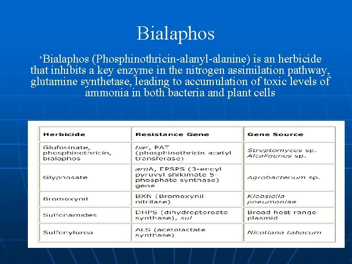 Bialaphos *Bialaphos (Phosphinothricin-alanyl-alanine) is an herbicide that inhibits a key enzyme in the nitrogen