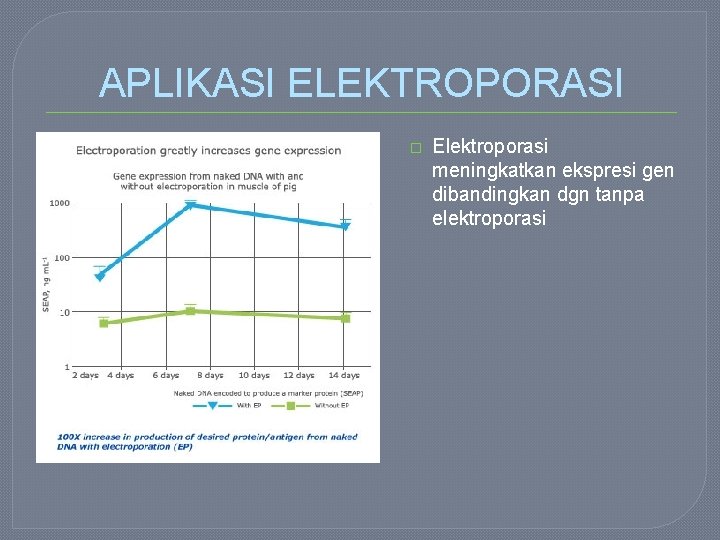 APLIKASI ELEKTROPORASI � Elektroporasi meningkatkan ekspresi gen dibandingkan dgn tanpa elektroporasi 