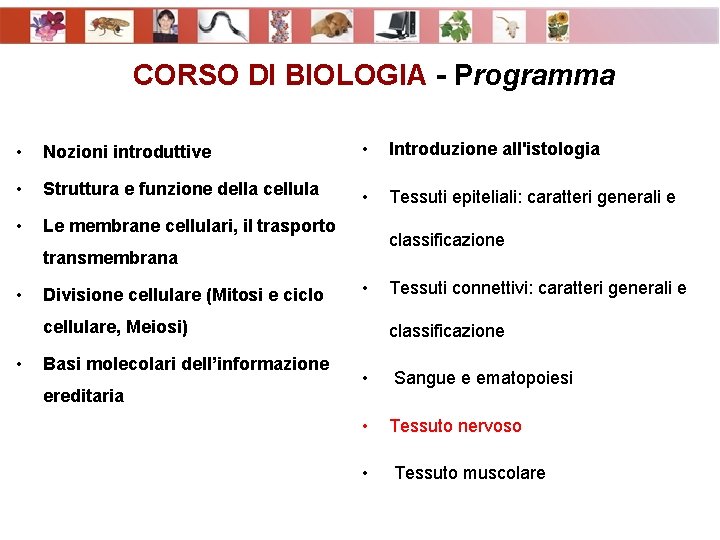 CORSO DI BIOLOGIA - Programma • Nozioni introduttive • Introduzione all'istologia • Struttura e
