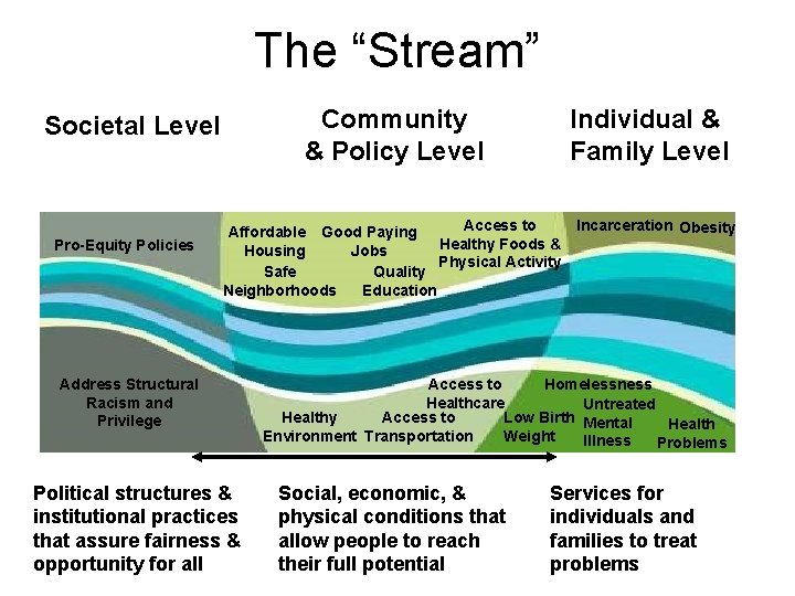 The “Stream” Community & Policy Level Societal Level Pro-Equity Policies Individual & Family Level