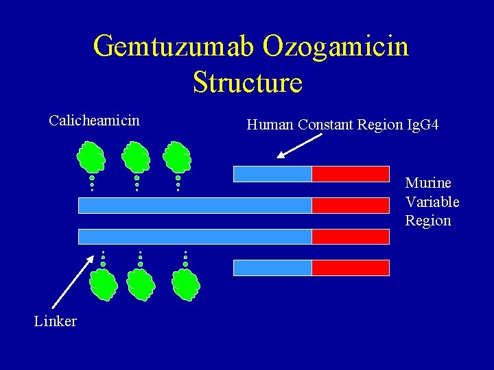 Gemtuzumab Ozogamicin Structure Calicheamicin Human Constant Region Ig. G 4 Murine Variable Region Linker