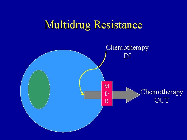 Multidrug Resistance Chemotherapy IN M D R Chemotherapy OUT 