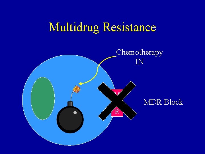 Multidrug Resistance Chemotherapy IN M D R MDR Block 