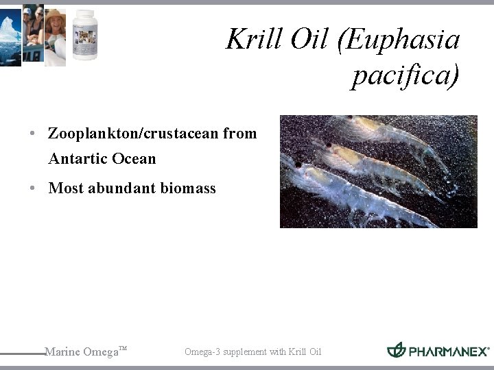 Krill Oil (Euphasia pacifica) • Zooplankton/crustacean from Antartic Ocean • Most abundant biomass Marine