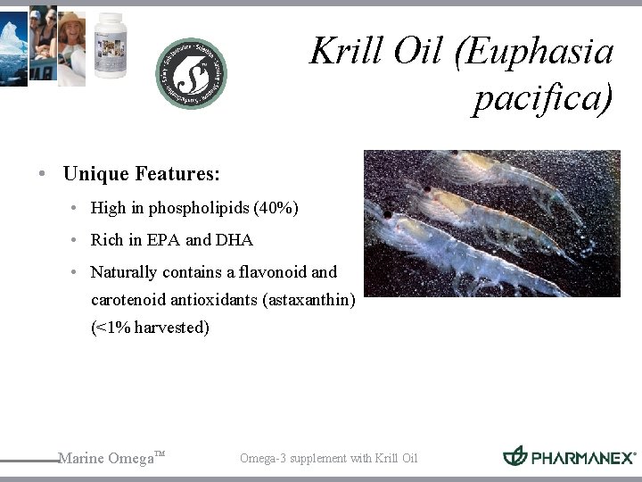 Krill Oil (Euphasia pacifica) • Unique Features: • High in phospholipids (40%) • Rich