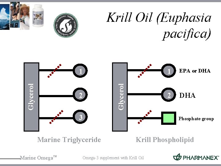 Krill Oil (Euphasia pacifica) 2 Glycerol 1 3 Marine Triglyceride Marine Omega™ 1 EPA