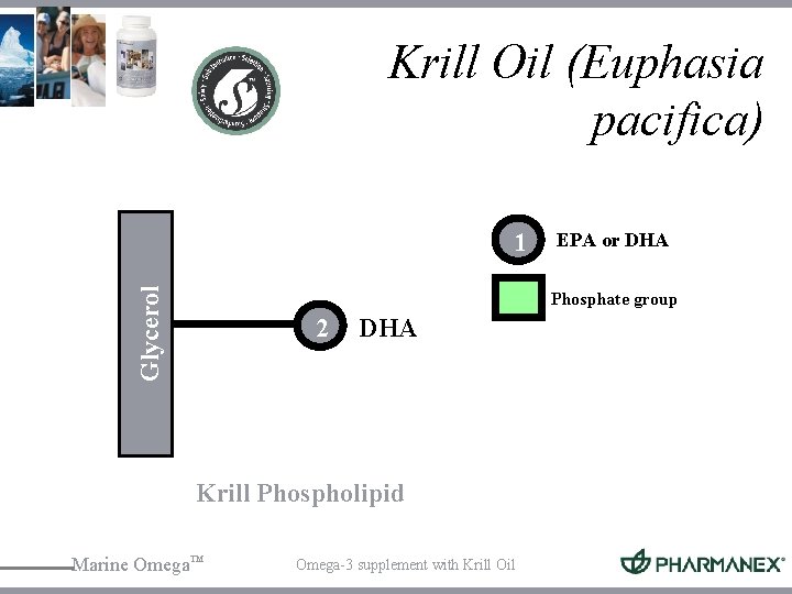 Krill Oil (Euphasia pacifica) Glycerol 1 EPA or DHA Phosphate group 2 DHA Krill