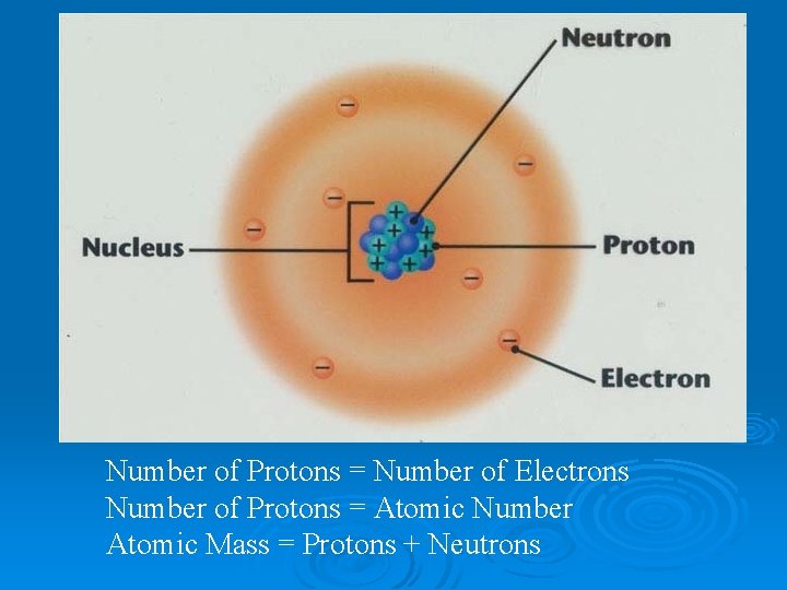Number of Protons = Number of Electrons Number of Protons = Atomic Number Atomic