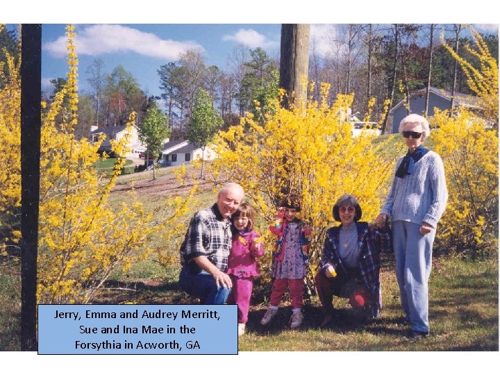 Jerry, Emma and Audrey Merritt, Sue and Ina Mae in the Forsythia in Acworth,