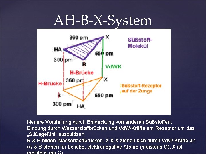 AH-B-X-System Kier Neuere Vorstellung durch Entdeckung von anderen Süßstoffen: Bindung durch Wasserstoffbrücken und Vd.