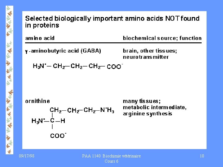 09/17/98 PAA 1140 Biochimie vétérinaire Cours 6 10 