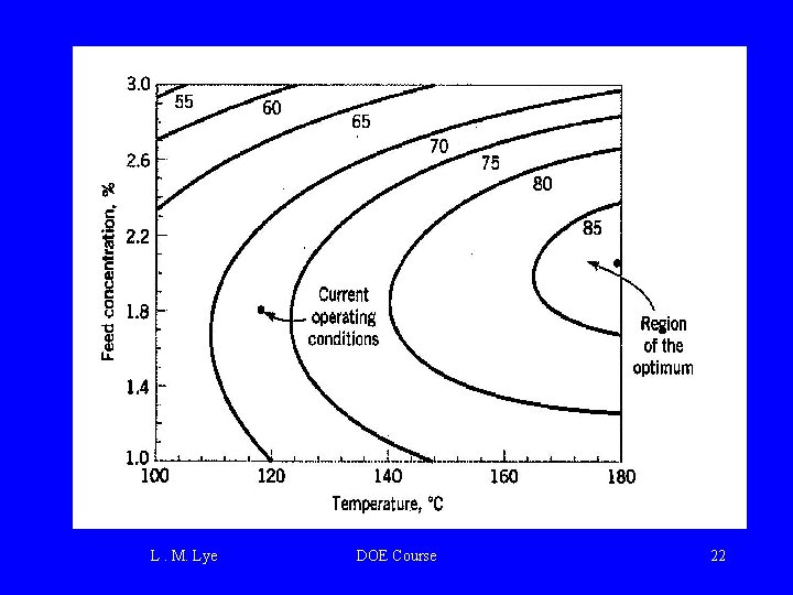 L. M. Lye DOE Course 22 