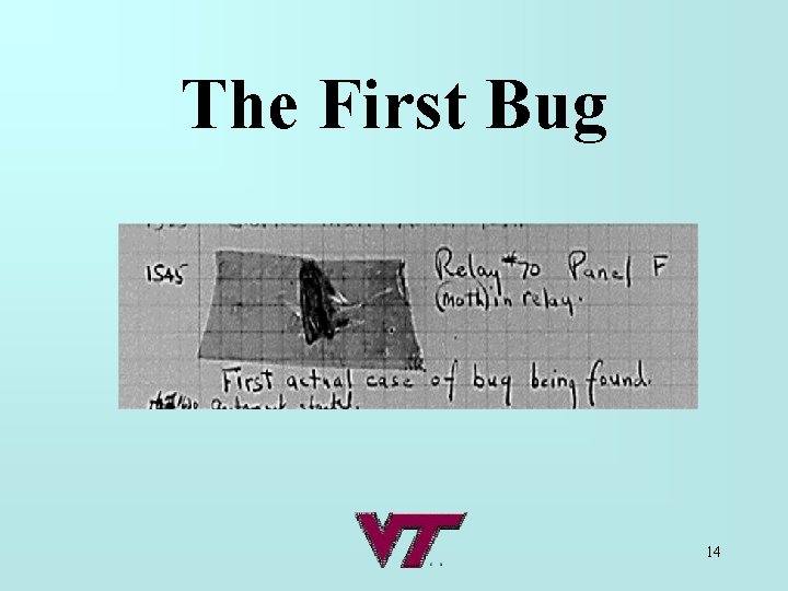 The First Bug 14 