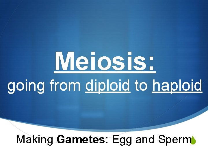 Meiosis: going from diploid to haploid Making Gametes: Egg and Sperm. S 