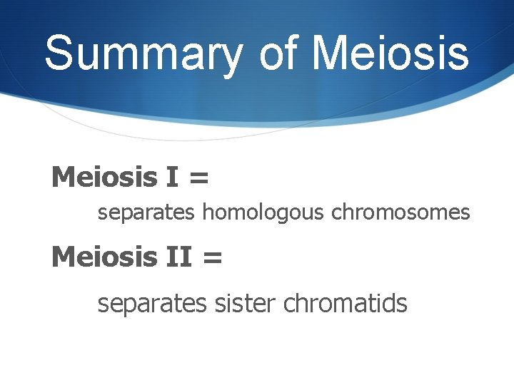 Summary of Meiosis I = separates homologous chromosomes Meiosis II = separates sister chromatids