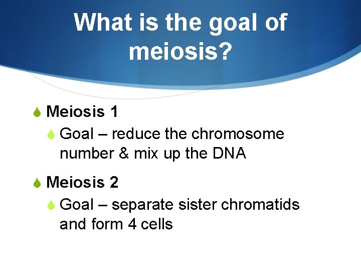 What is the goal of meiosis? S Meiosis 1 S Goal – reduce the