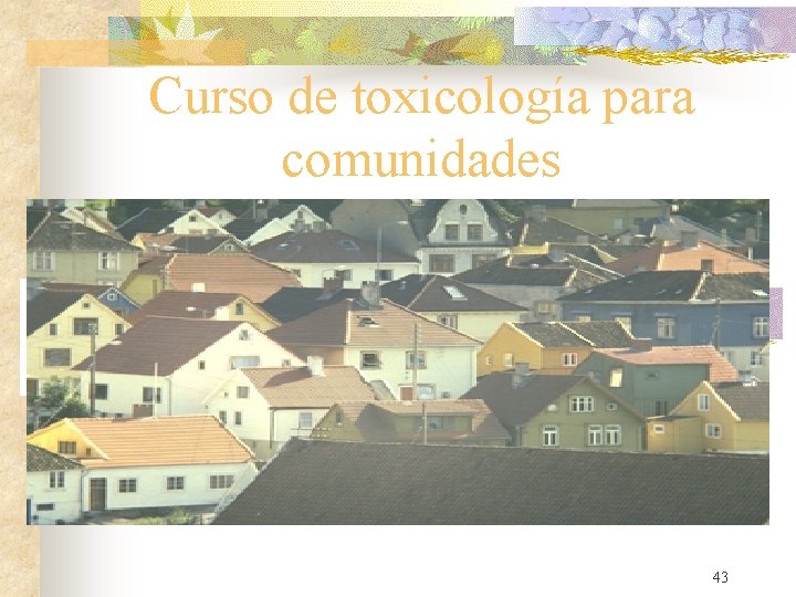Curso de toxicología para comunidades 43 