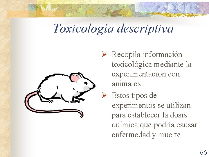 Toxicología descriptiva Ø Recopila información toxicológica mediante la experimentación con animales. Ø Estos tipos