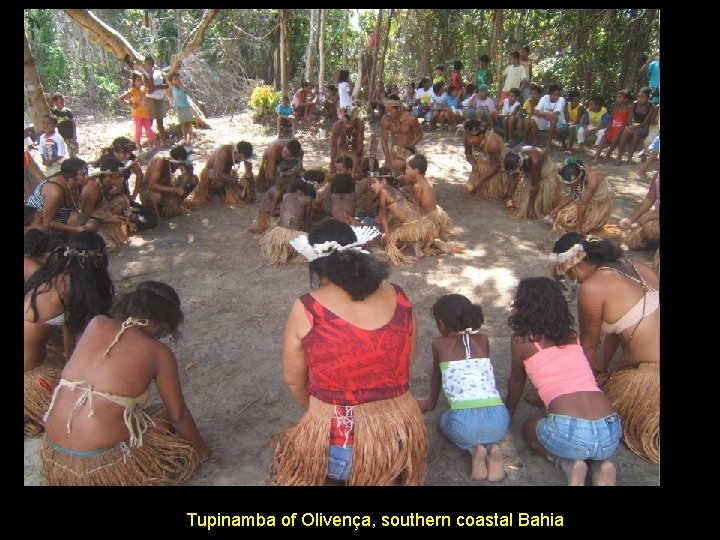 Tupinamba of Olivença, southern coastal Bahia 