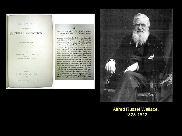 Alfred Russel Wallace, 1823 -1913 