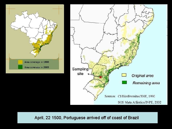 April, 22 1500, Portuguese arrived off of coast of Brazil 