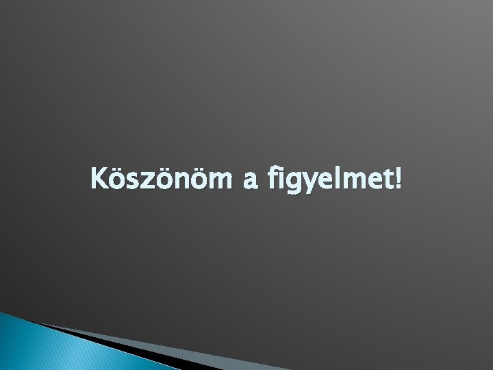 Köszönöm a figyelmet! 