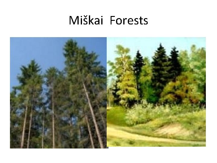 Miškai Forests 