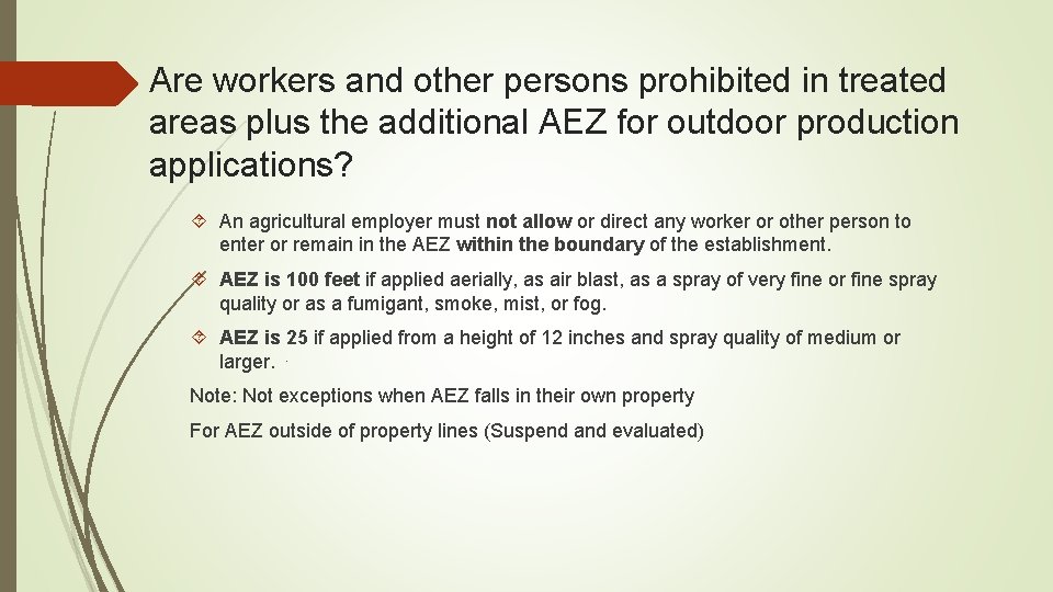 Are workers and other persons prohibited in treated areas plus the additional AEZ for