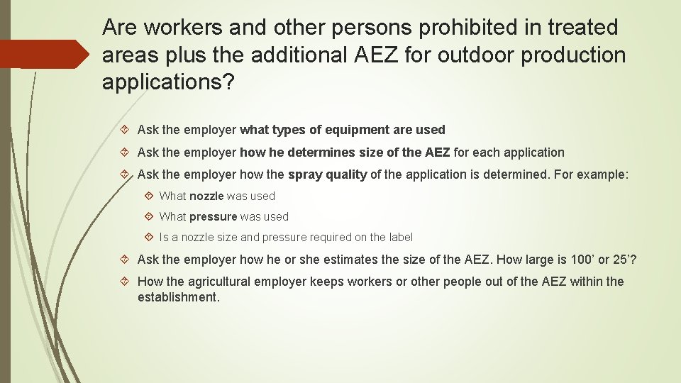 Are workers and other persons prohibited in treated areas plus the additional AEZ for