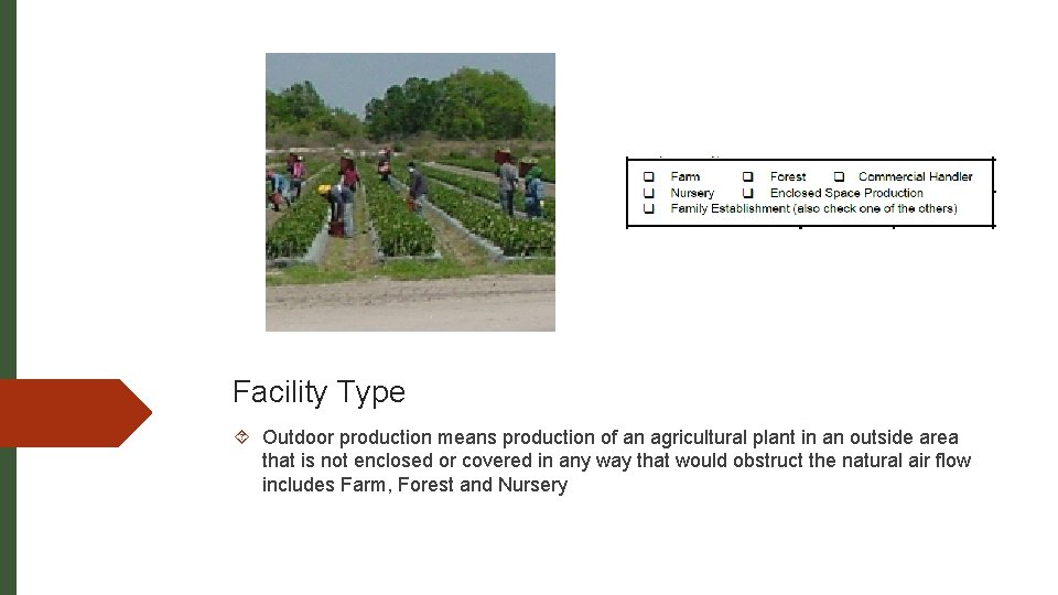 Facility Type Outdoor production means production of an agricultural plant in an outside area