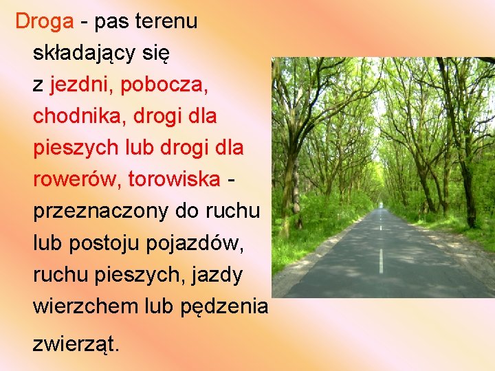 Droga - pas terenu składający się z jezdni, pobocza, chodnika, drogi dla pieszych lub